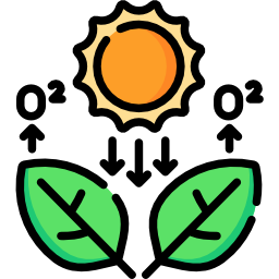 Photosynthesis icon