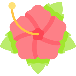 Hibiscus icon