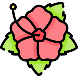 hibiskus icon