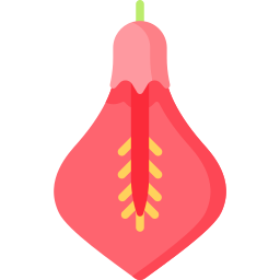 Cockspur coral tree icon