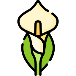 Calla lily icon