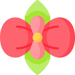 begonia ikona