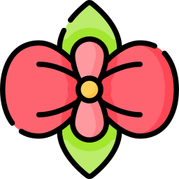 begonia icona