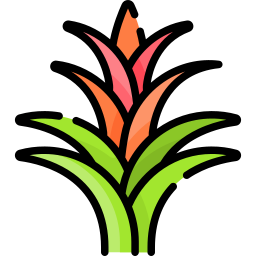 Bromeliad icon