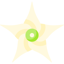 jaborosa integrifolia ikona