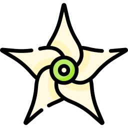 jaborosa integrifolia ikona