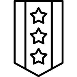 chevron icona