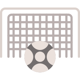 netz icon