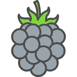 Berry icon