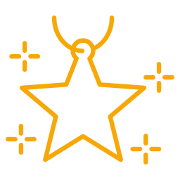 ornamento stella icona