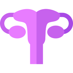 Uterus icon