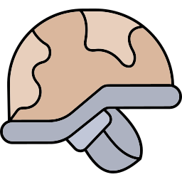 Military helmet icon