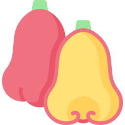 pomme de cire Icône