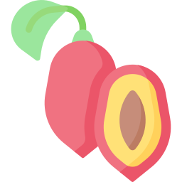 fruta milagrosa icono
