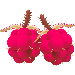 Wineberry icon