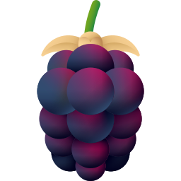 Boysenberry icon