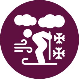 skifahren icon