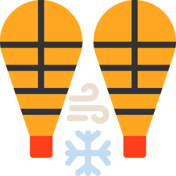 Snowshoes icon