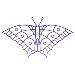 Butterfly icon