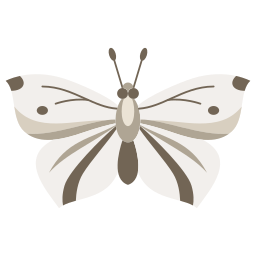 Butterfly icon