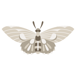 Butterfly icon