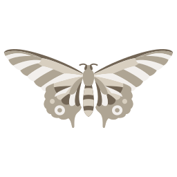 Butterfly icon