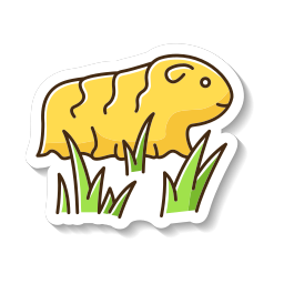 ペルーの野生動物 icon