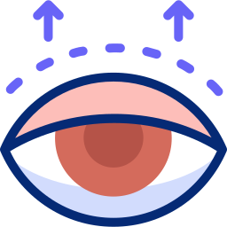 Eyelid icon