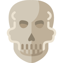 Skull icon