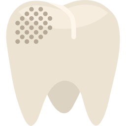 molar icon