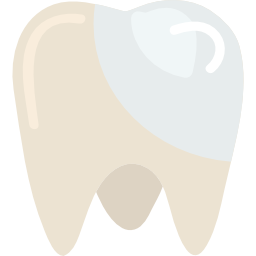 molar icon