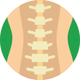 columna espinal icono