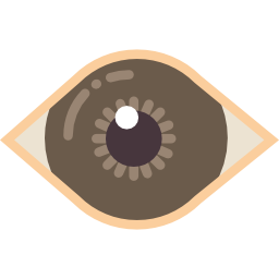 iris icon