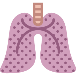 Lungs icon