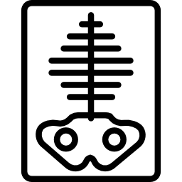 엑스레이 icon