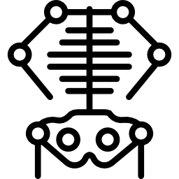 szkielet ikona