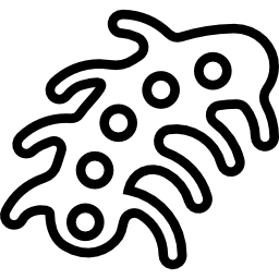 microbe Icône