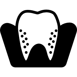 molar icono