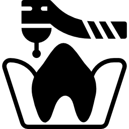 molar icon