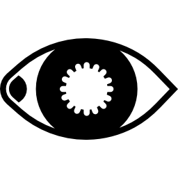 Eye icon