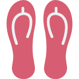 flip flops icon