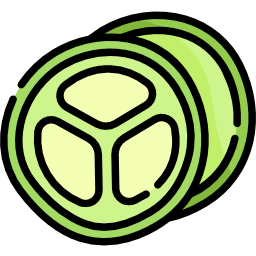 Cucumber slice icon