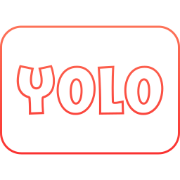 yolo icon