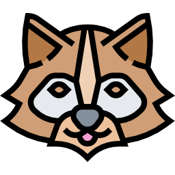 waschbär icon