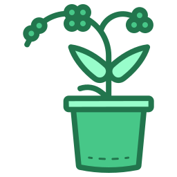 난초 꽃 icon