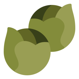 Brussels sprout icon