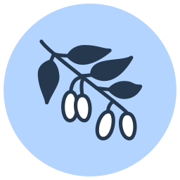 Berry icon