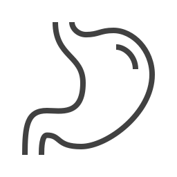 Stomach icon