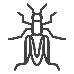 Insect icon