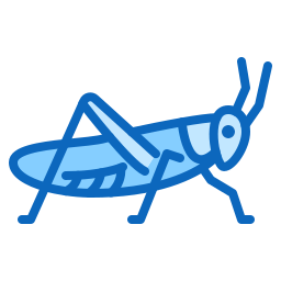 Insect icon